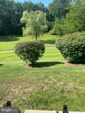 a view of a garden with large trees