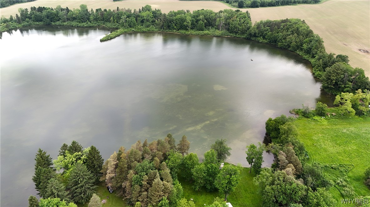 Genesee Road Chaffee, NY 14030 - Photo 11 of 30