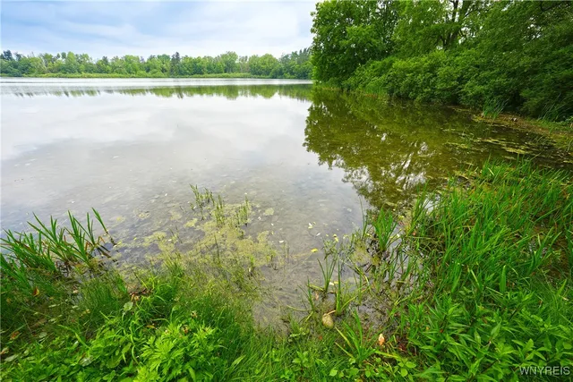 $100,000 | Genesee Road, Chaffee, NY 14030