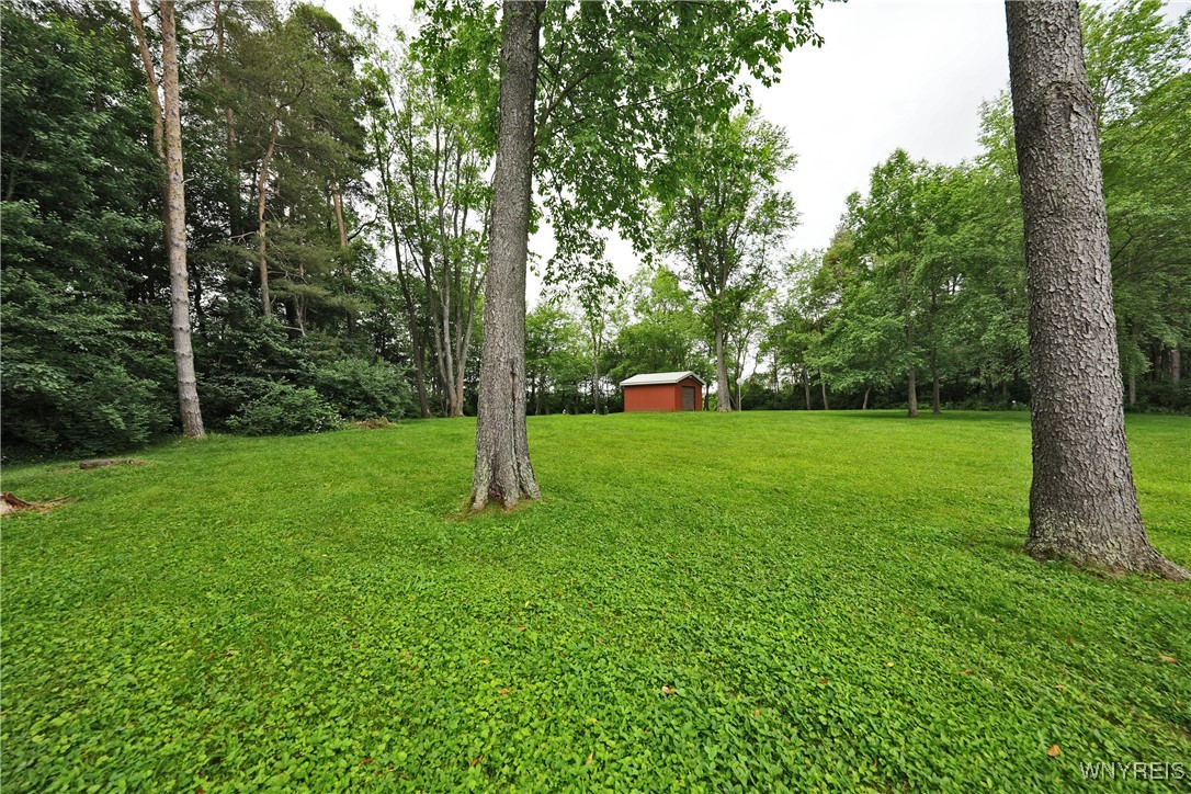 Genesee Road Chaffee, NY 14030 - Photo 19 of 30