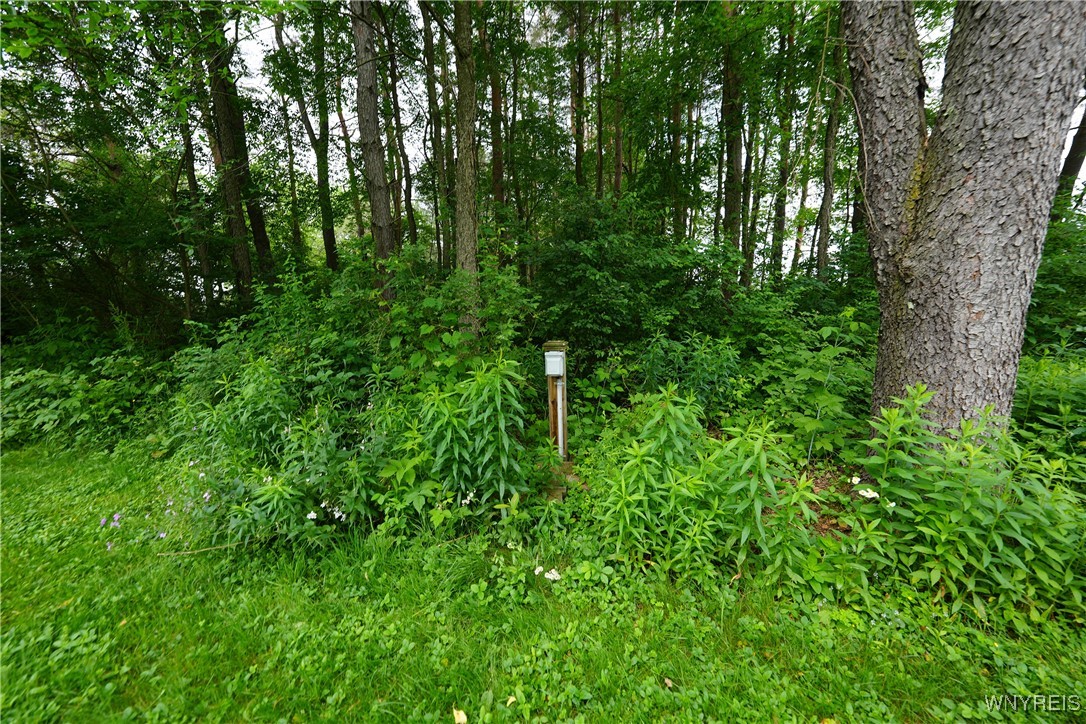 Genesee Road Chaffee, NY 14030 - Photo 30 of 30