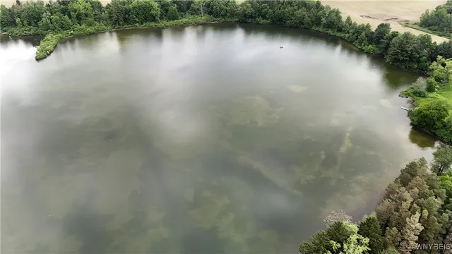 $100,000 | Genesee Road, Chaffee, NY 14030