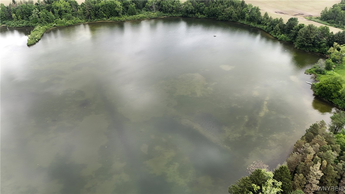 Genesee Road Chaffee, NY 14030 - Photo 10 of 30