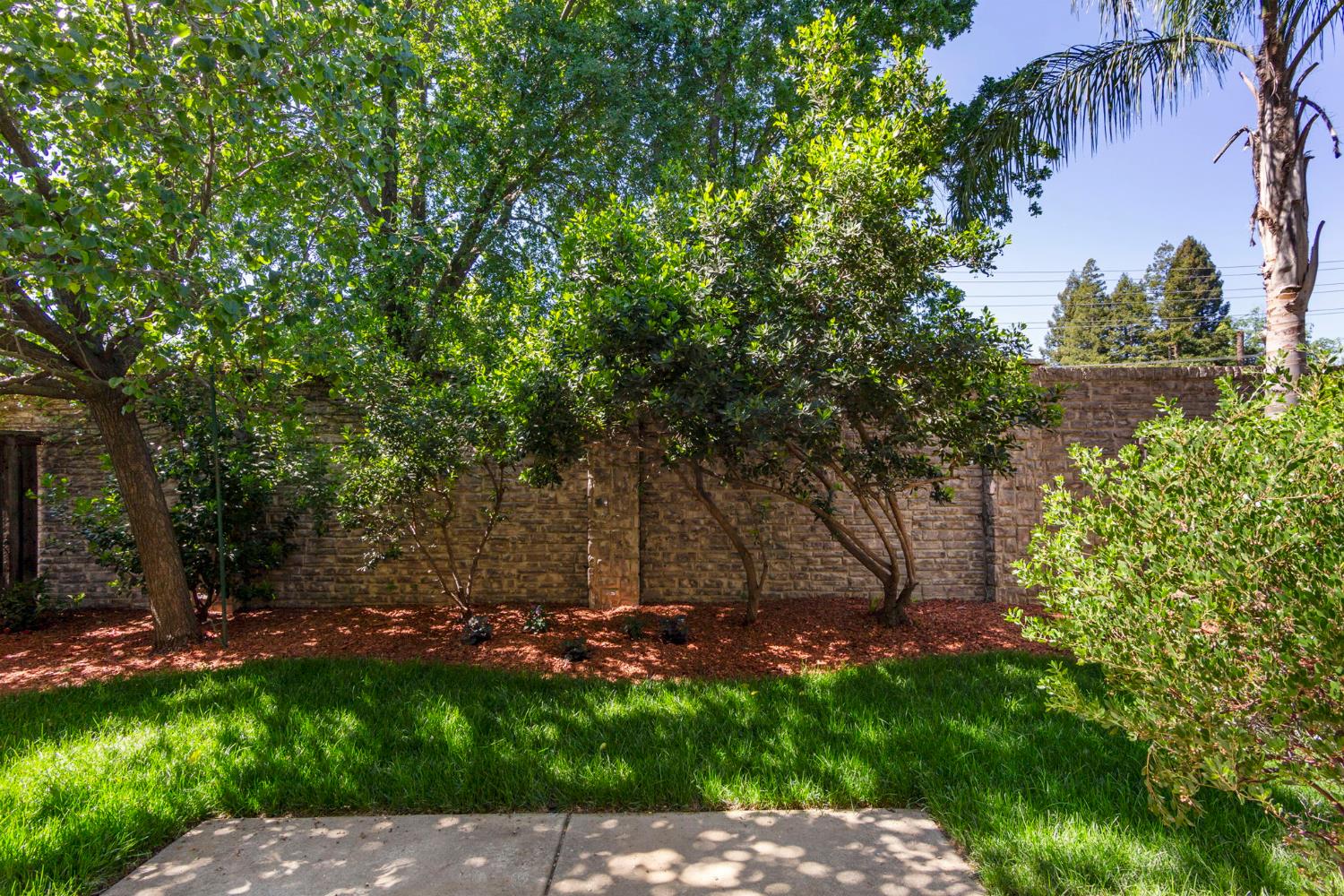 6381 Brando Loop Fair Oaks, CA 95628 - Photo 37 of 49