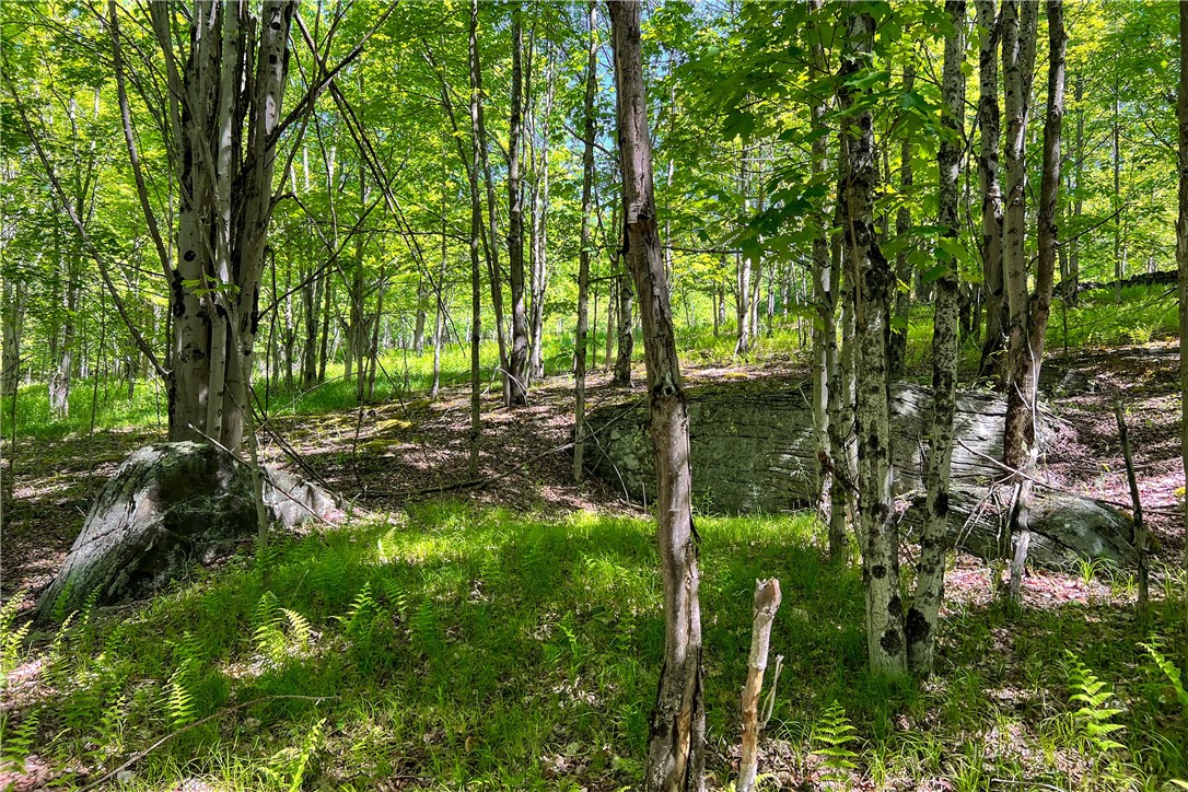 26 Federal Hill Road Delhi, NY 13753 - Photo 26 of 50