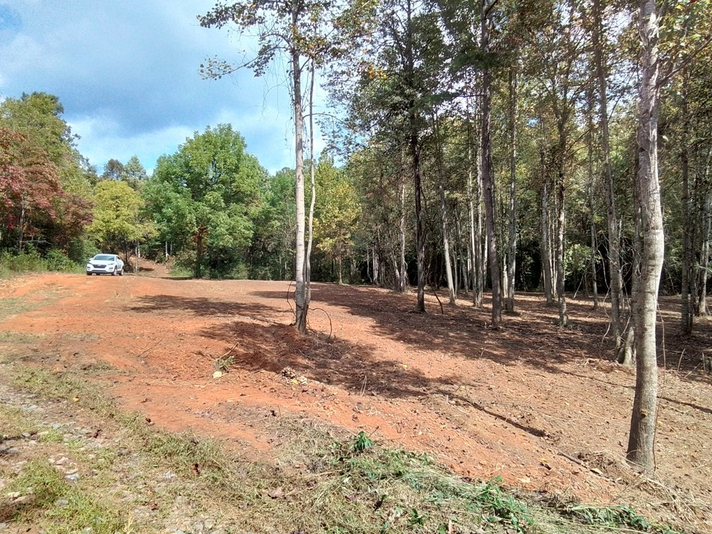 End Of Tanglewood Ridge Murphy, NC 28906 - Photo 27 of 38