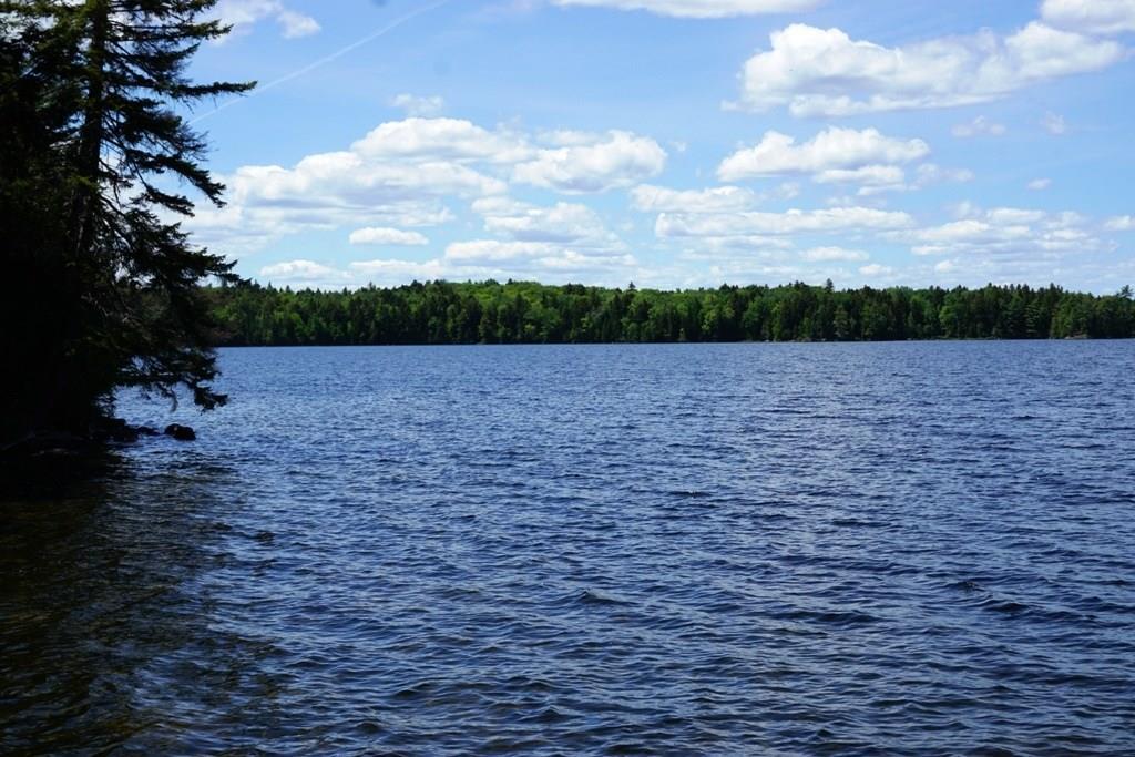 599 Big Moose Point Road Greenville, ME 04441 - Photo 15 of 35 Photo