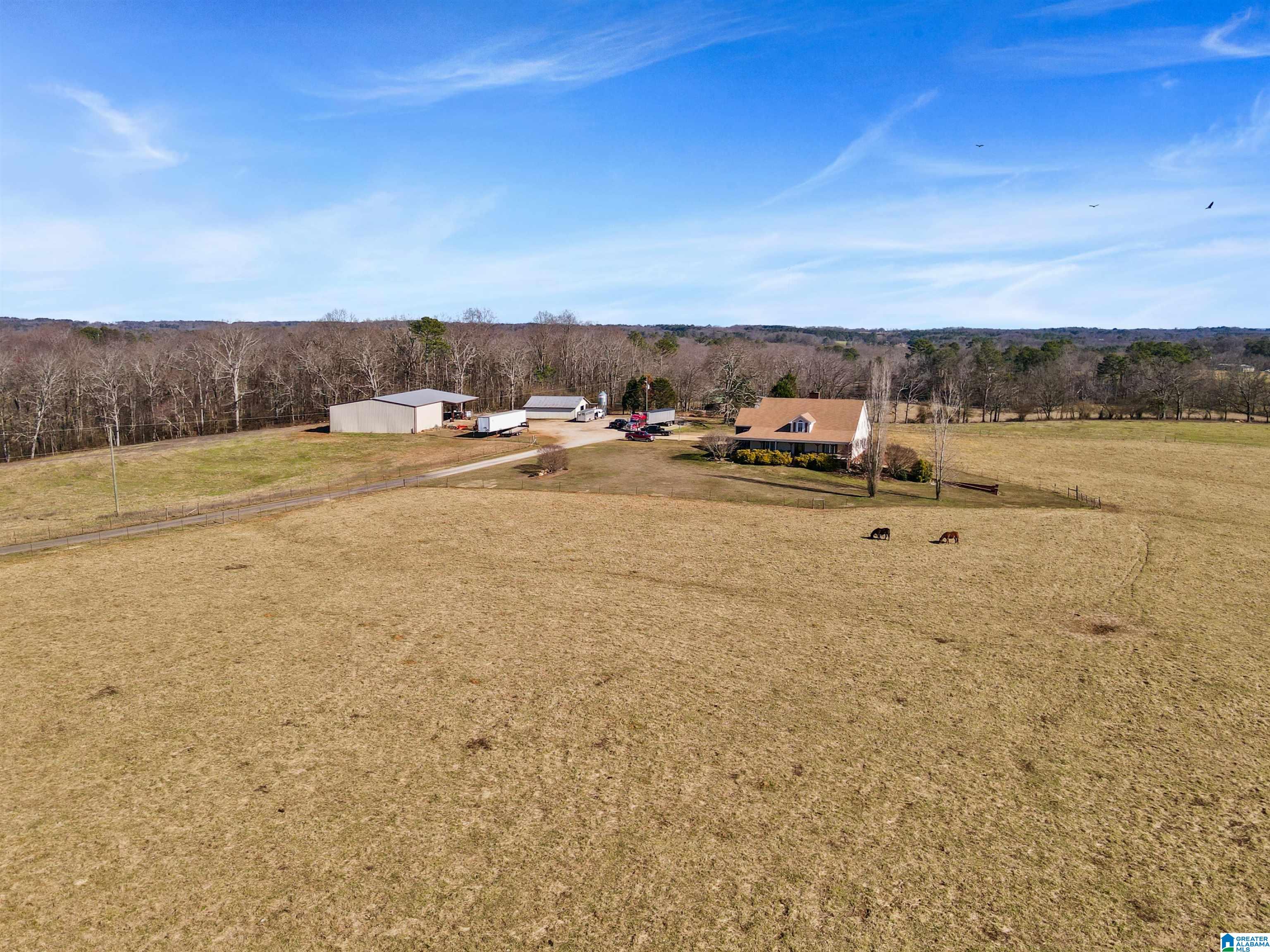 80 County Road 624 Ranburne, AL 36273 - Photo 8 of 49