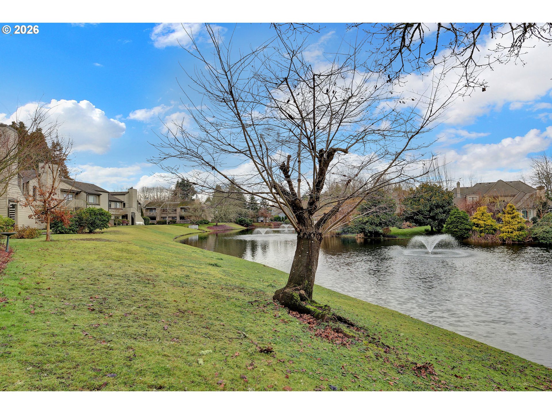 2001 Lake Isle Terrace Eugene, OR 97401 - Photo 36 of 36 a view of yard with tree
