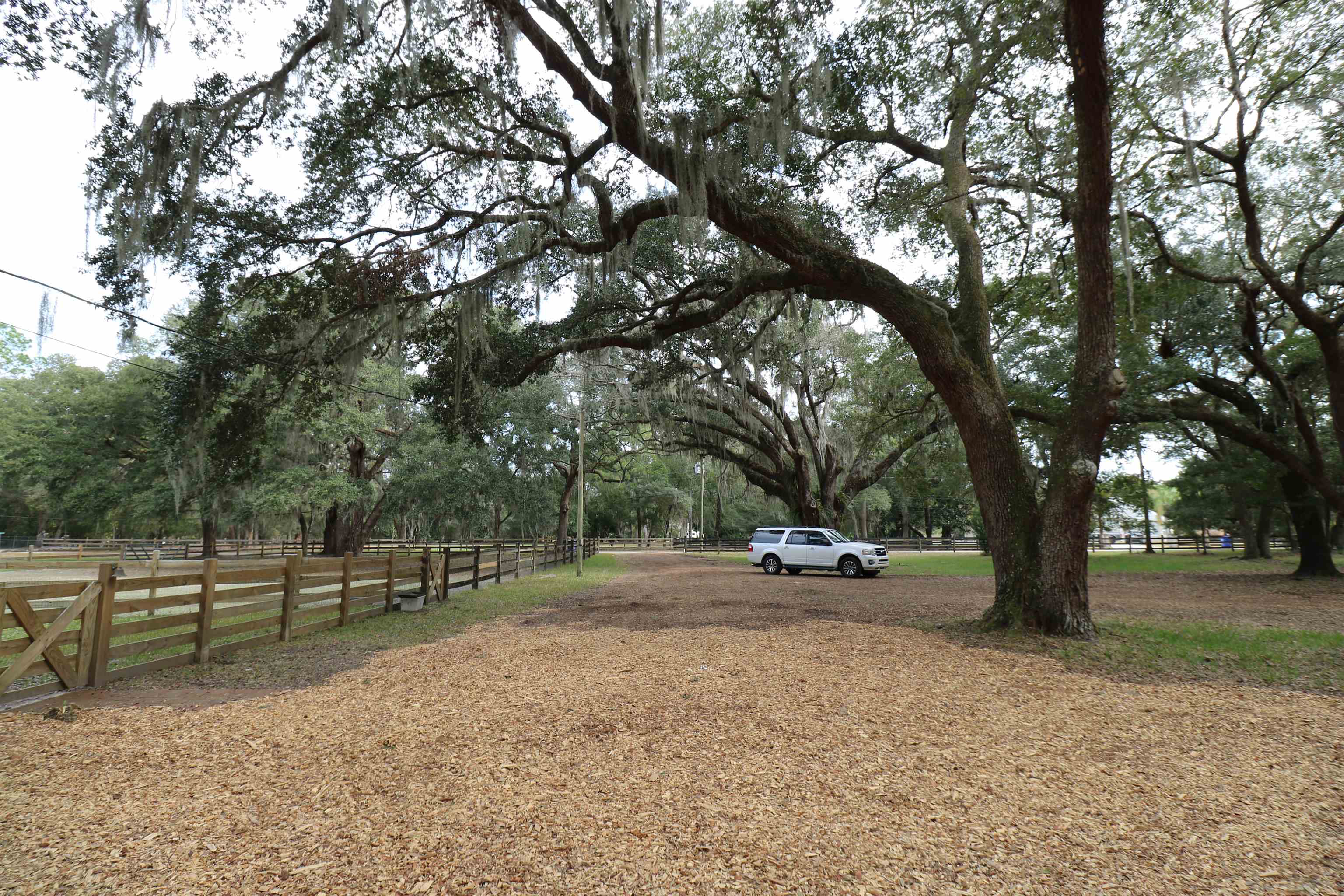4575 Carter Road St. Augustine, FL 32086 - Photo 22 of 23