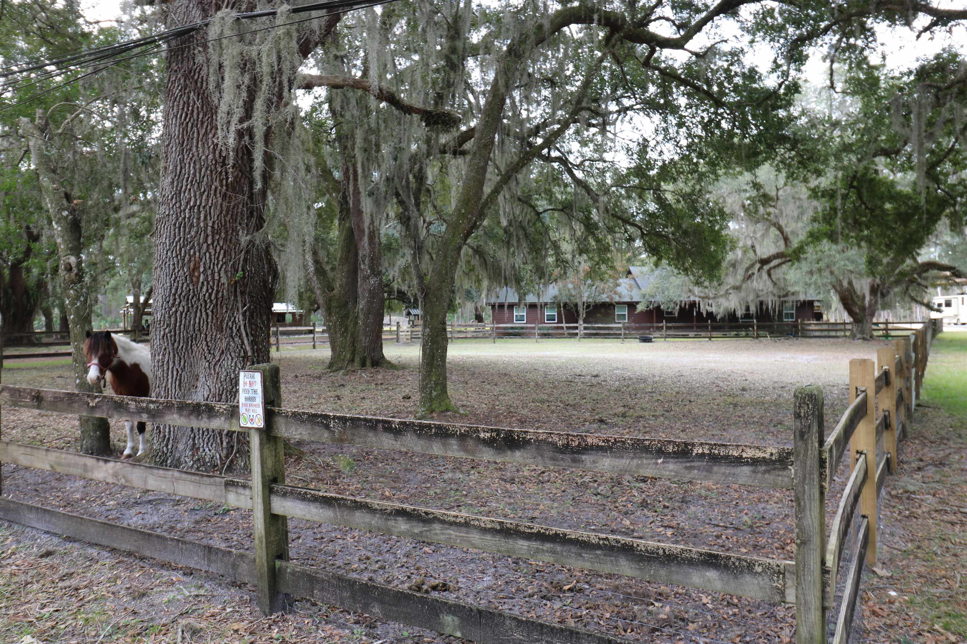 4575 Carter Road St. Augustine, FL 32086 - Photo 23 of 23