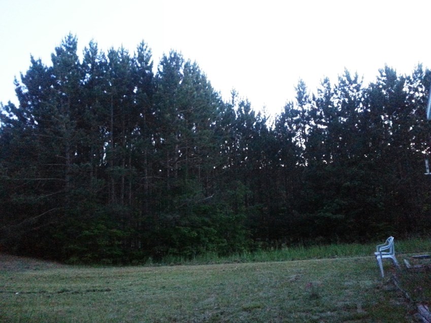 8676 Mockerman Road Southeast Fife Lake, MI 49633 - Photo 50 of 65 1821812-53.JPG