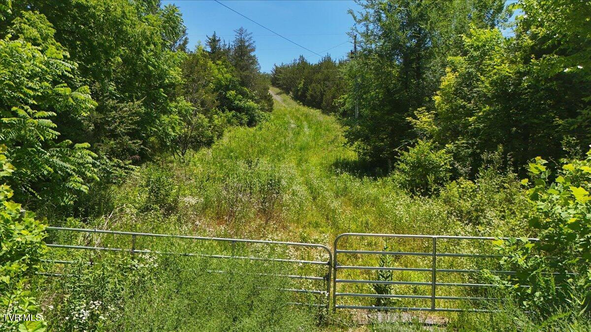 5441 Fred Marshall Road Russellville, TN 37860 - Photo 16 of 20 11-DJI_20260604133405_0921_D