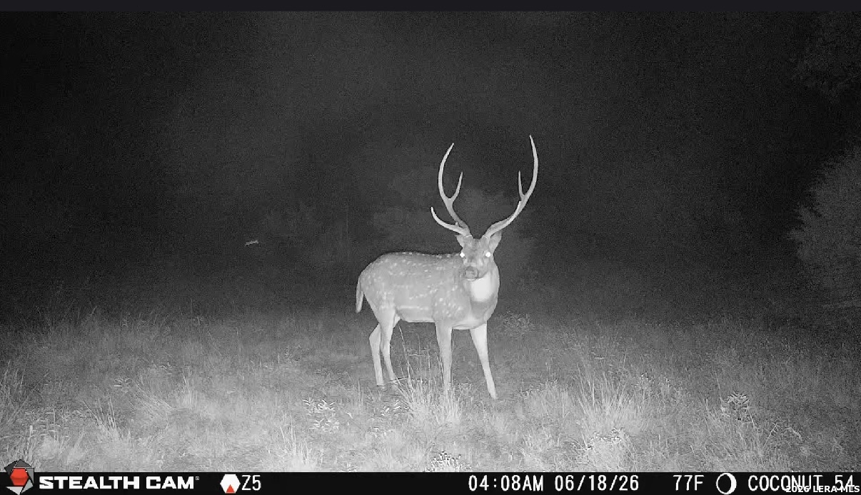 0 West W Cr Rocksprings, TX 78880 - Photo 39 of 44 Gallery Image 39