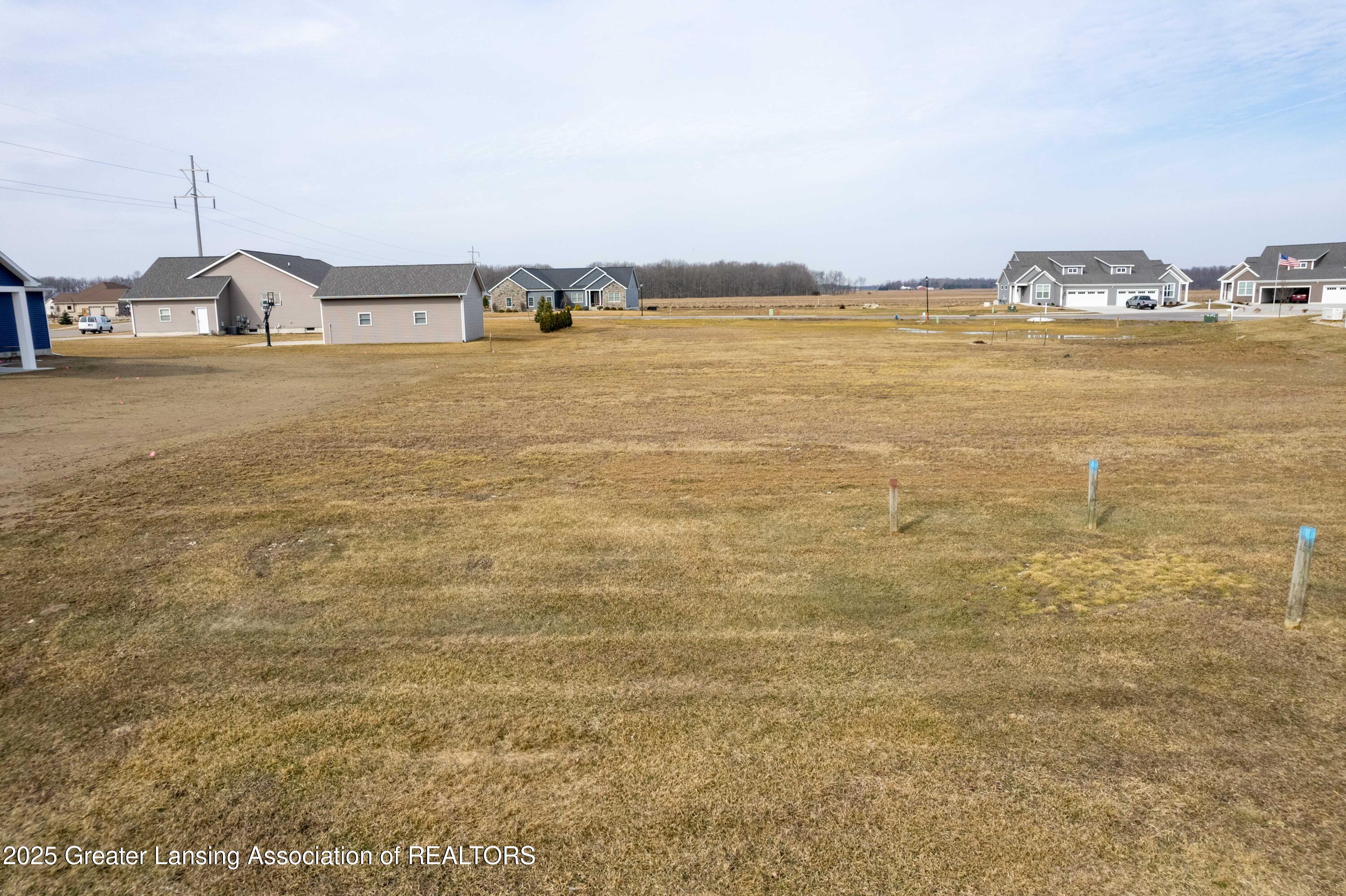 Lot 8 North Wright Road Fowler, MI 48835 - Photo 5 of 13 Lot 008 Wright Rd Fowler MI-102