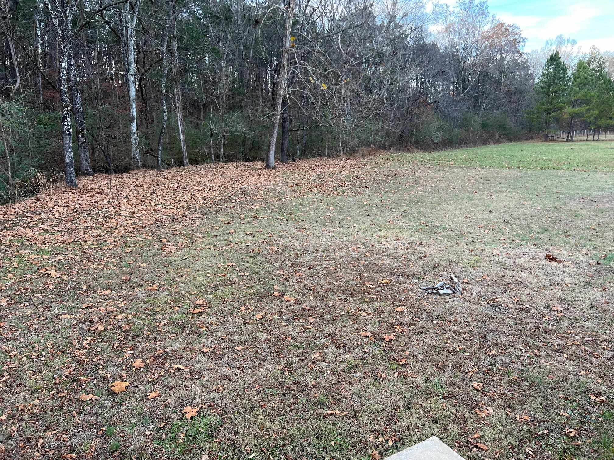 2274 Culps Bend Road Clifton, TN 38425 - Photo 18 of 22 a fire hydrant in the middle of a field