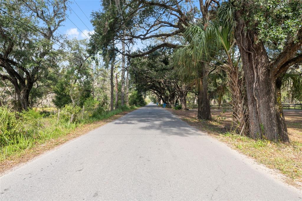 Crum Road Brooksville, FL 34604 - Photo 1 of 1 a view of a yard with plants and trees