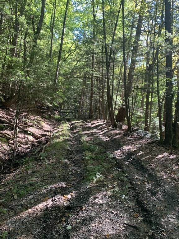 0 Pratt Hollow Road Northfield, MA 01360 - Photo 1 of 13 Gallery Image 1