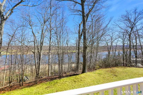 a view of backyard with tree