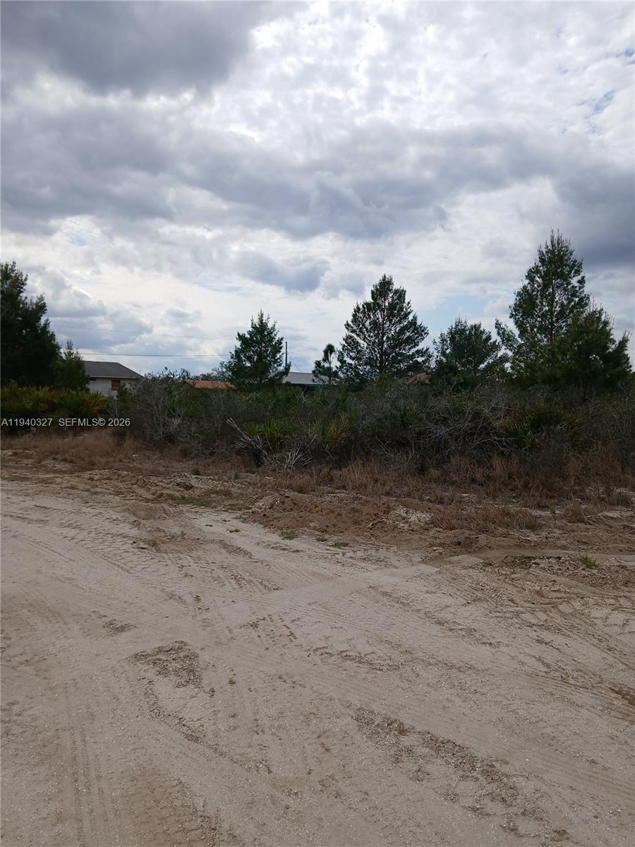 2935 West Gaffney Road Avon Park, FL 33825 - Photo 2 of 2 a view of a dry yard with wooden fence