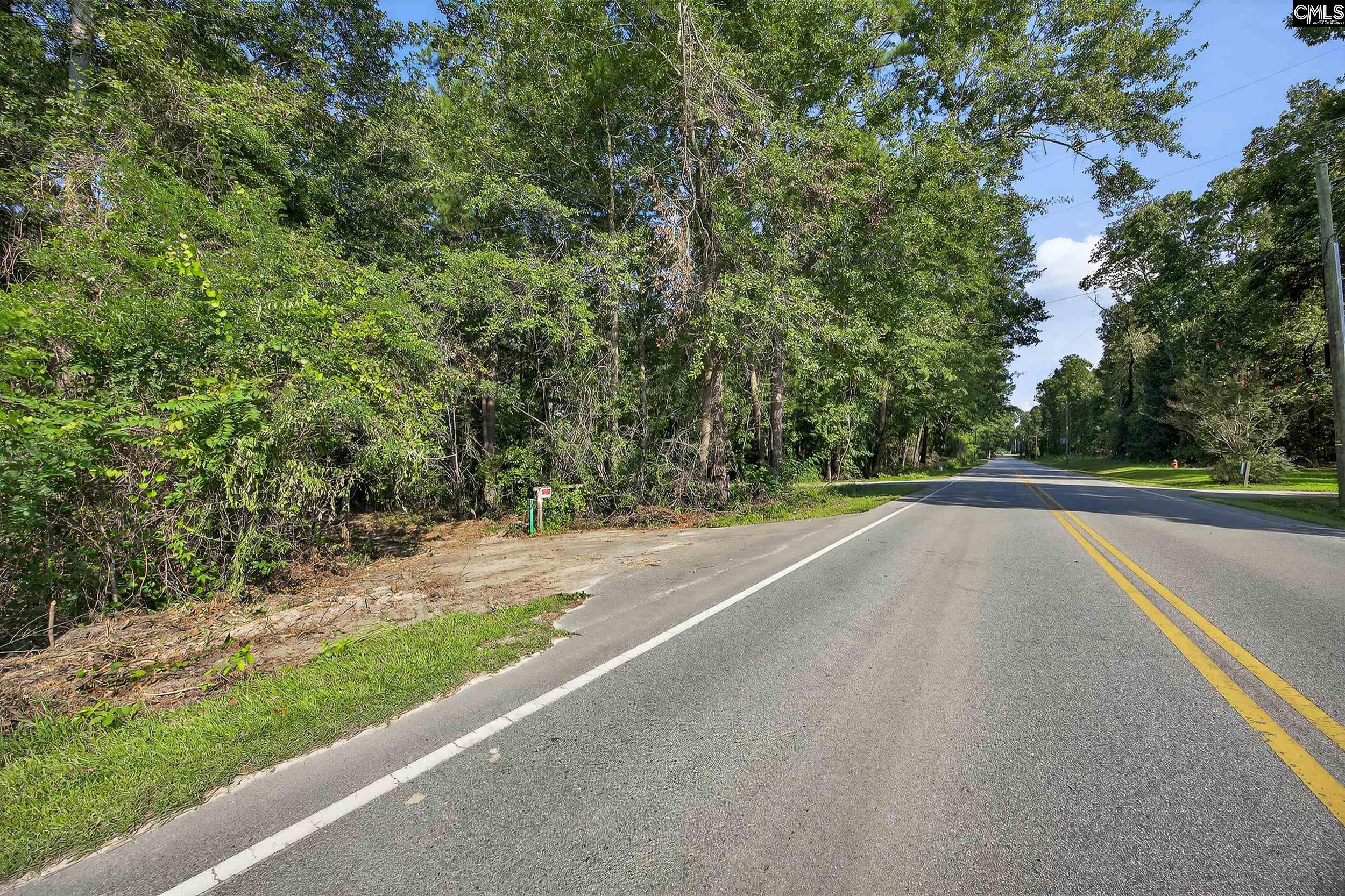 0 Juniper Springs Road, Unit PARCEL A Gilbert, SC 29054 - Photo 7 of 8