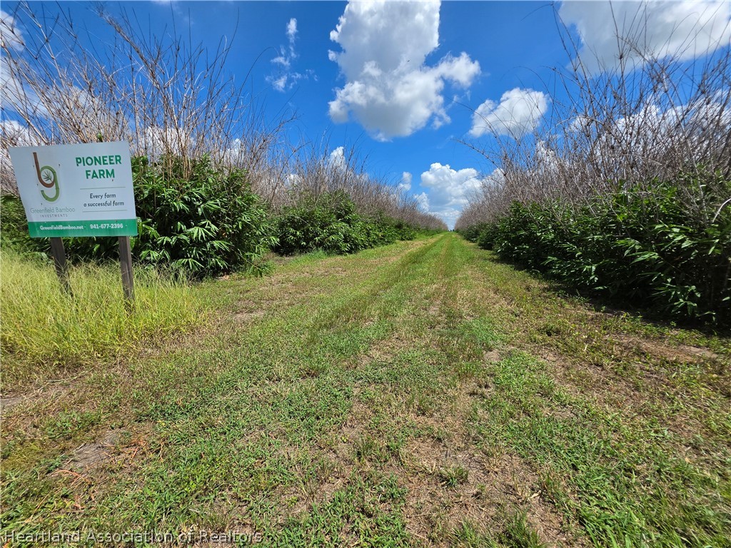 0 West St Road Wauchula, FL 33873 - Photo 12 of 24