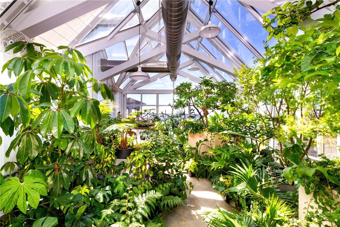 79 Shore Road Bristol, RI 02809 - Photo 17 of 47 State of the art greenhouse interior