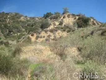 a view of a dry yard