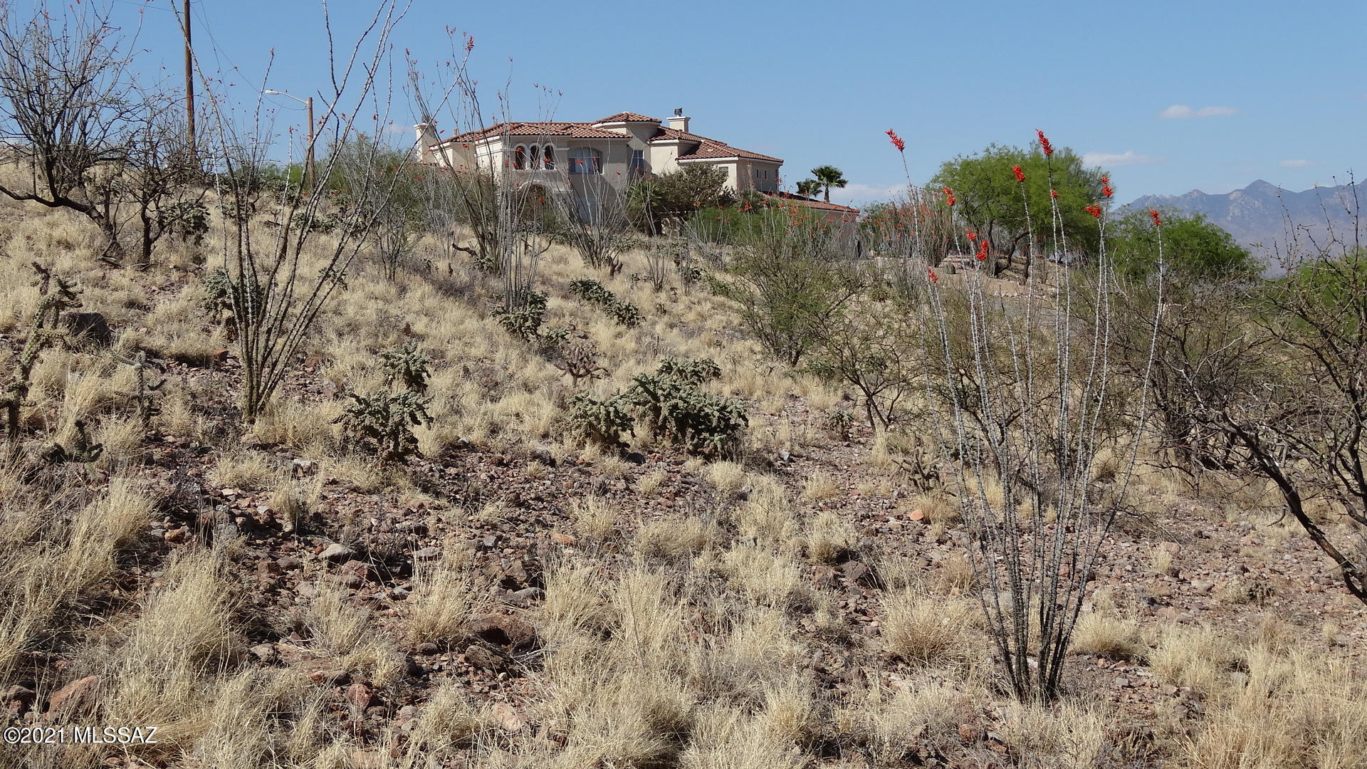 1521 Circulo Jacona, Unit 30 Rio Rico, AZ 85648 - Photo 6 of 20 a view of a field