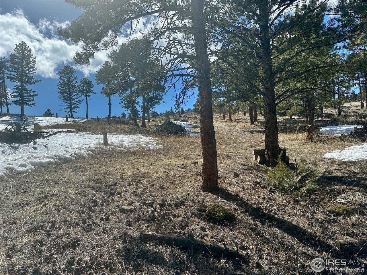 783 Dixon Road Boulder, CO 80302 - Photo 3 of 9