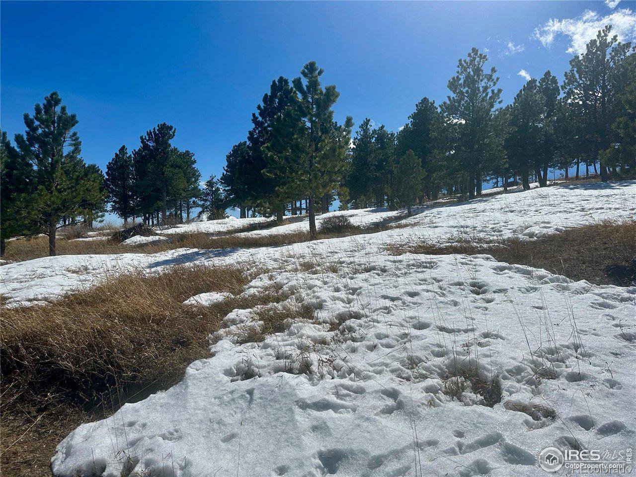 783 Dixon Road Boulder, CO 80302 - Photo 4 of 9