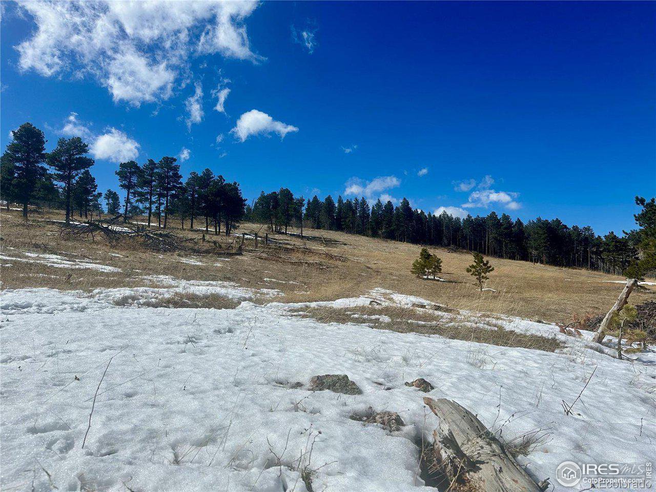 783 Dixon Road Boulder, CO 80302 - Photo 7 of 9