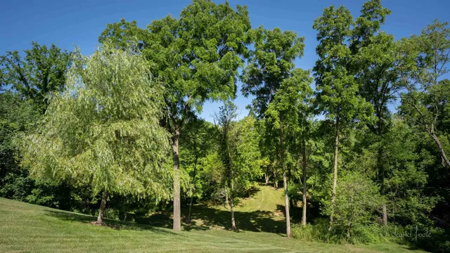 $1,695,000 | 200 Sioux Ct., Galena, IL 61036