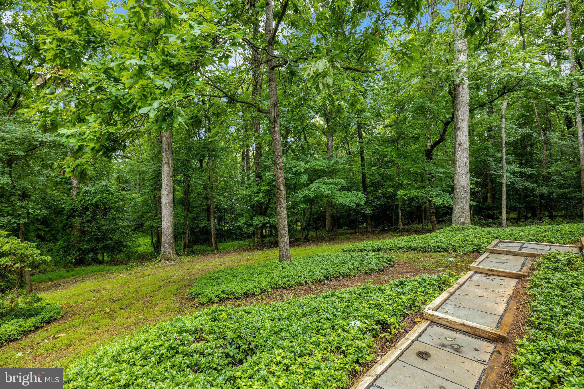 1132 Springvale Road Great Falls, VA 22066 - Photo 64 of 81 Serene woodland retreat awaits you.