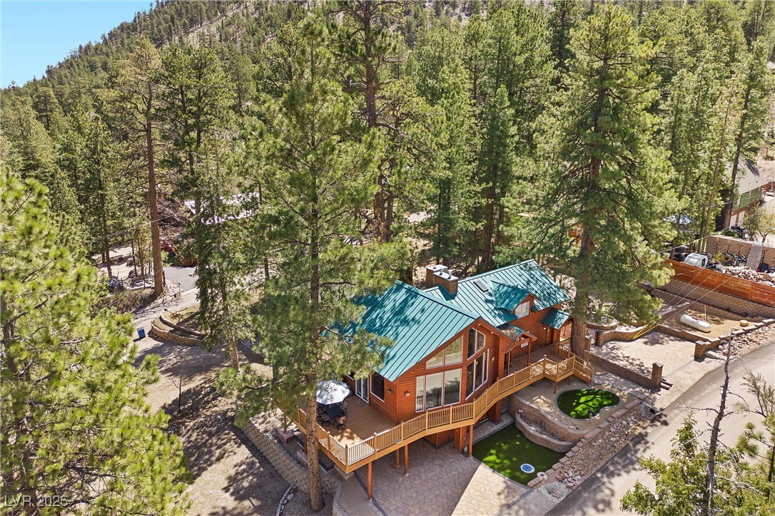 274 Ski Trail Road Mount Charleston, NV 89124 - Photo 53 of 75