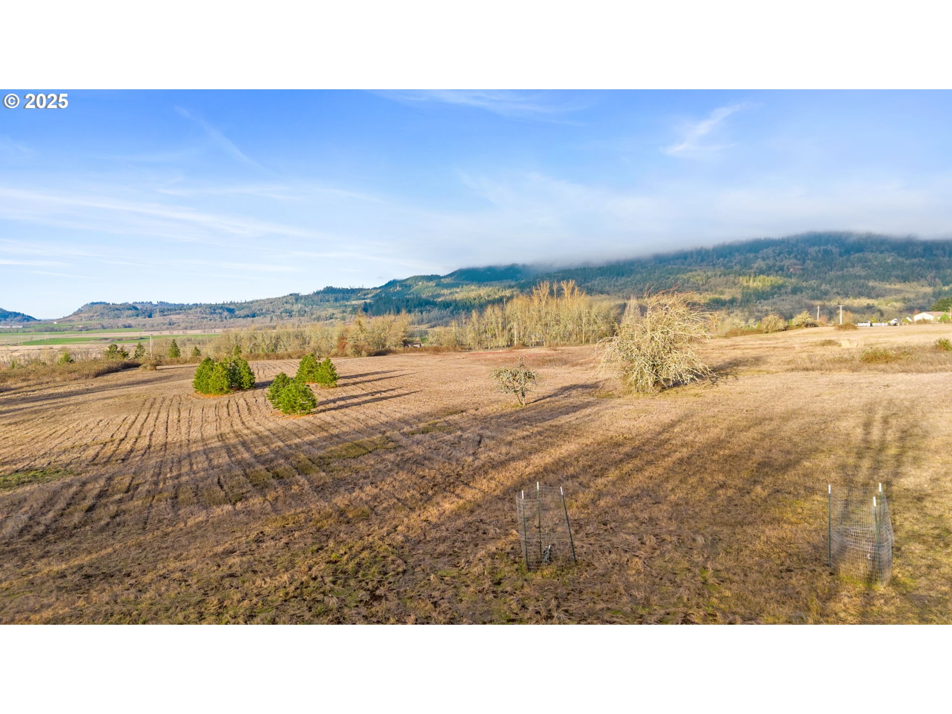 Diamond Ridge Loop Eugene, OR 97408 - Photo 4 of 15