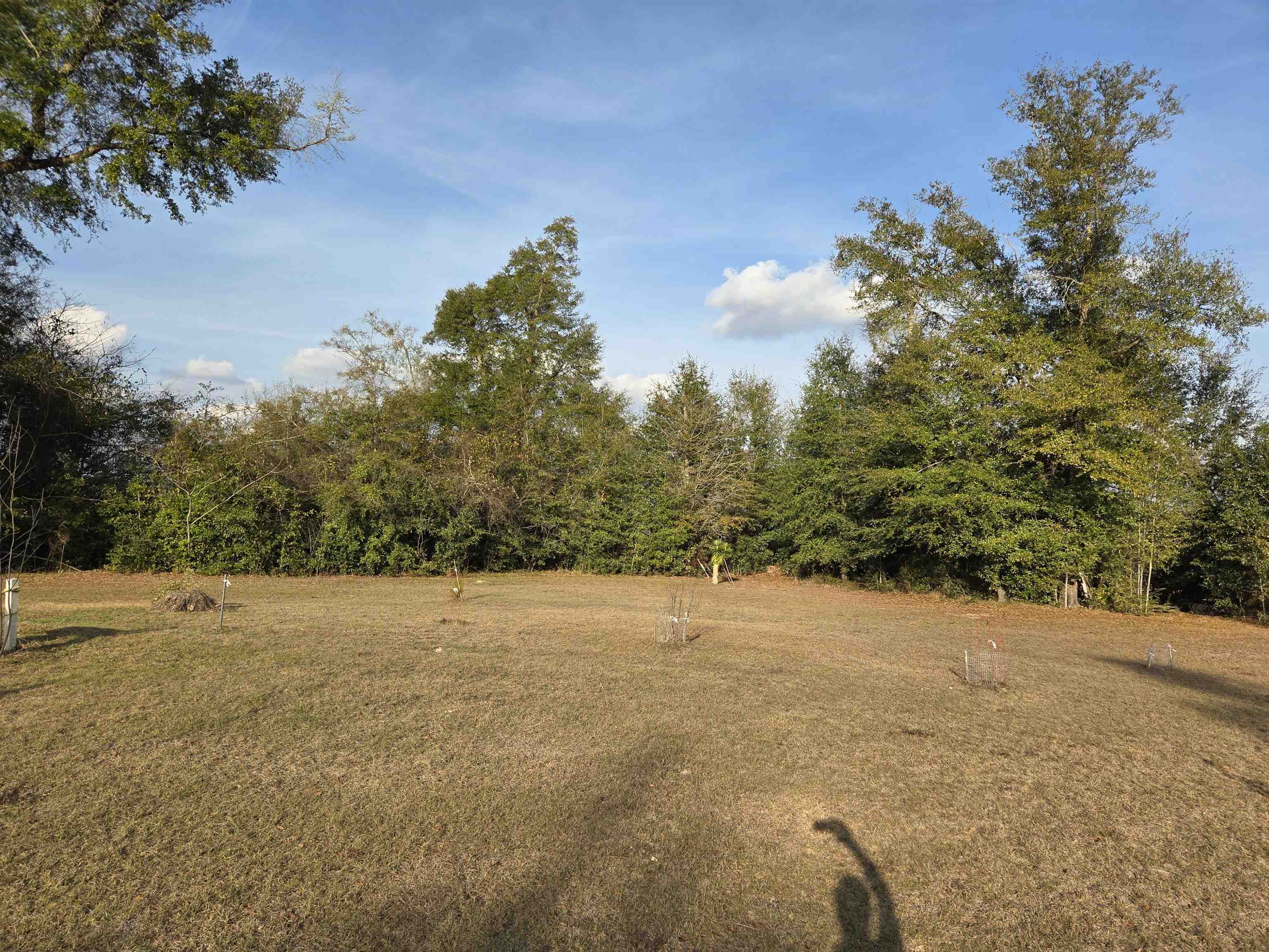 17305 Creek Road Clarksville, FL 32430 - Photo 3 of 17