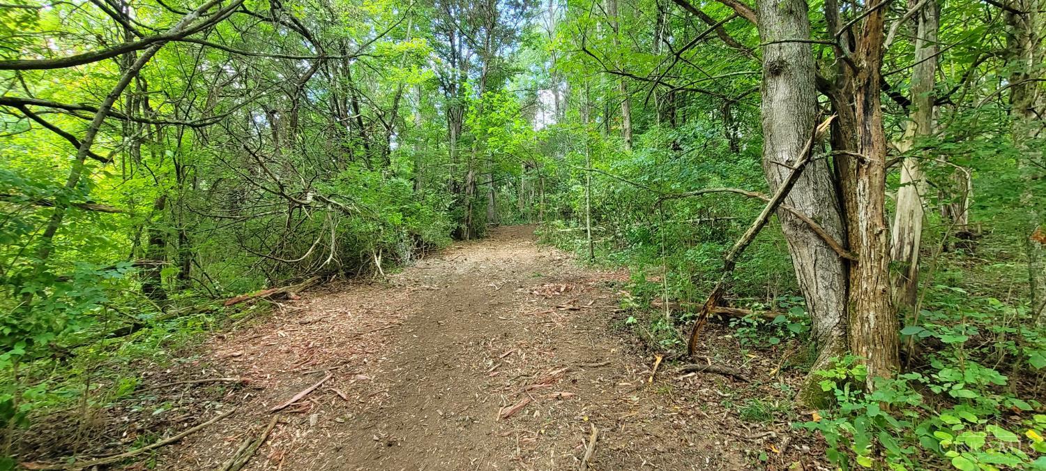 8.63-ac Laurel-Point Isabel Road Moscow, OH 45153 - Photo 21 of 29