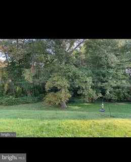 a view of a green yard