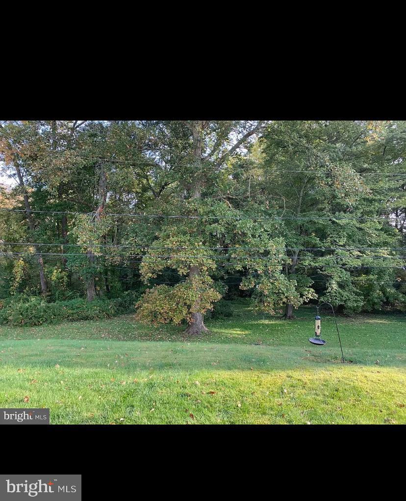 619 Shue Drive Newark, DE 19713 - Photo 30 of 30 a view of a green yard