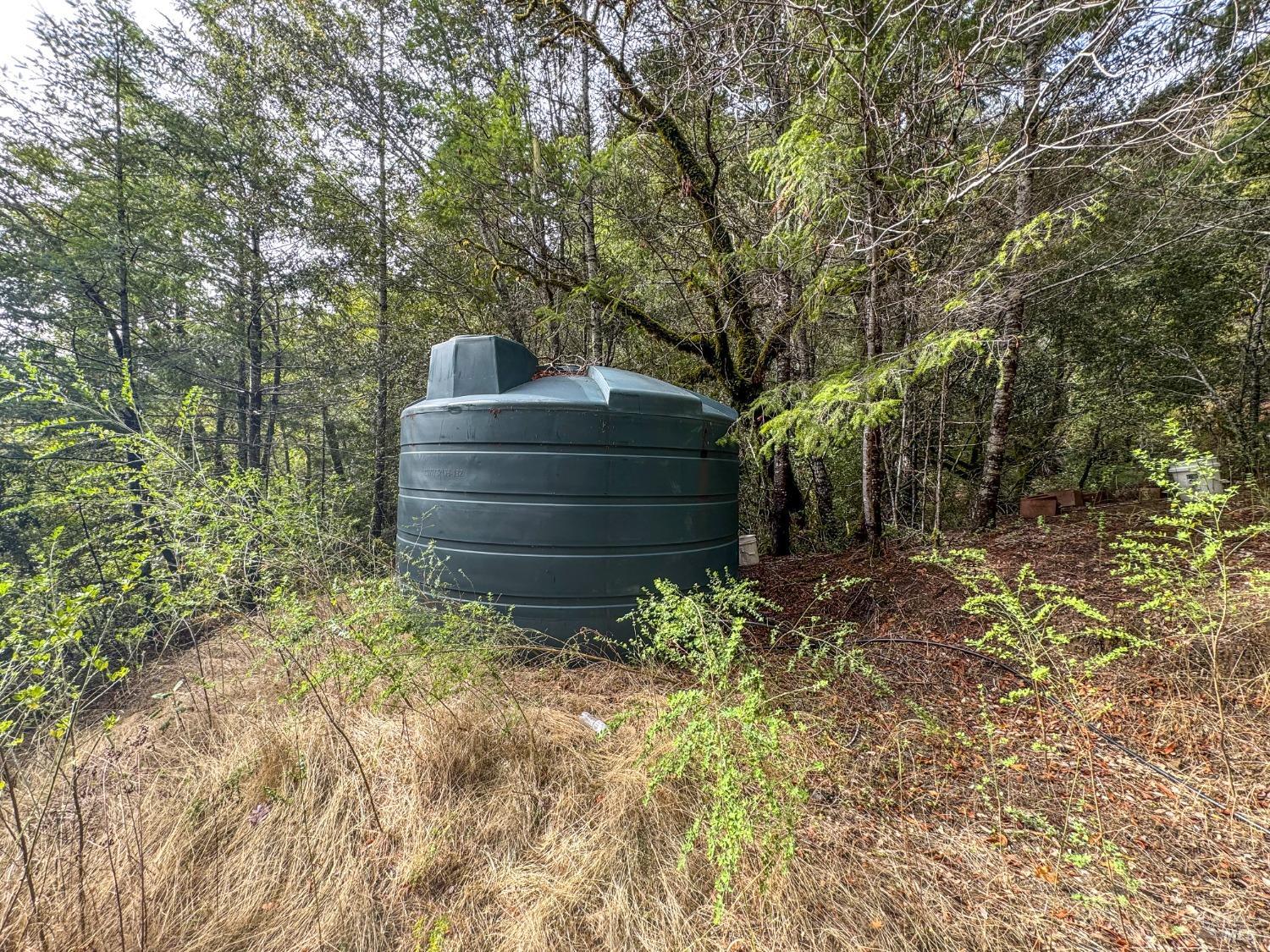 545 Bear Pen Road Piercy, CA 95587 - Photo 5 of 7 a view of house with outdoor space