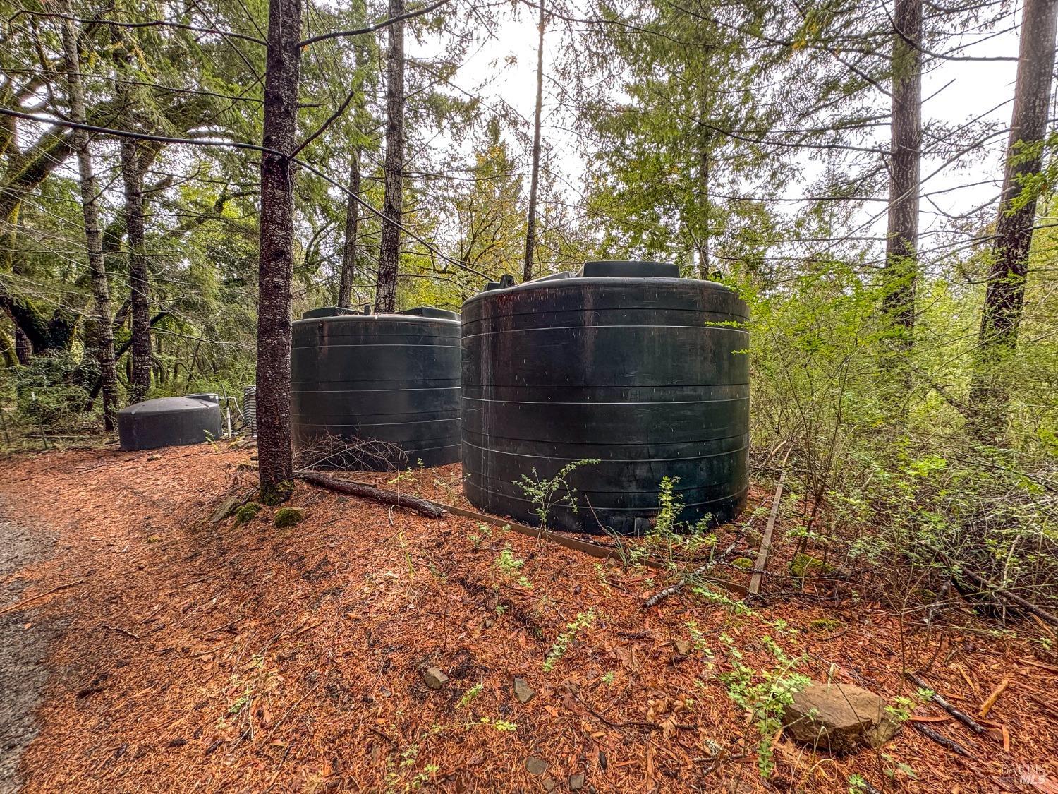 545 Bear Pen Road Piercy, CA 95587 - Photo 6 of 7 a view of outdoor space and outdoor space