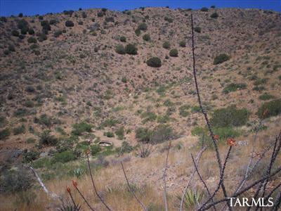 0 Sidewinder Road Willcox, AZ 85643 - Photo 4 of 5