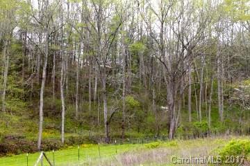 81 High Point Road, Unit PT B Weaverville, NC 28787 - Photo 1 of 5 Gallery Image 1