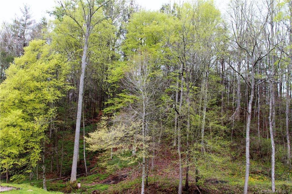 81 High Point Road, Unit PT B Weaverville, NC 28787 - Photo 2 of 5 Gallery Image 2