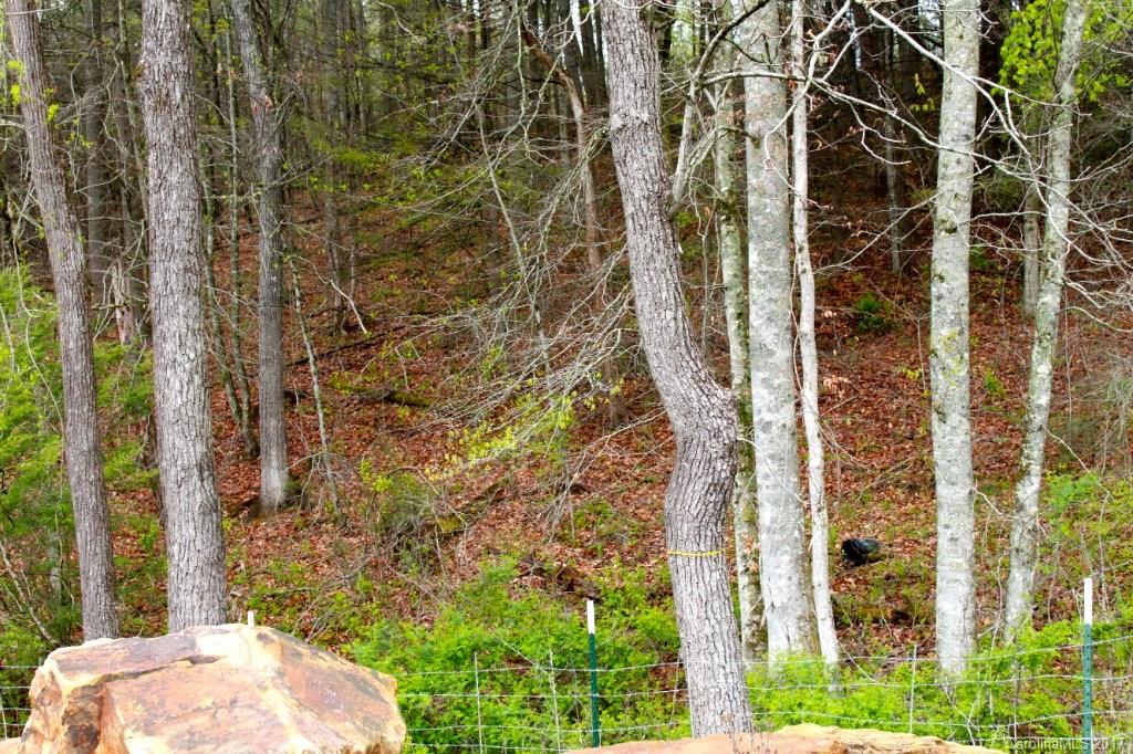 81 High Point Road, Unit PT B Weaverville, NC 28787 - Photo 3 of 5 Gallery Image 3