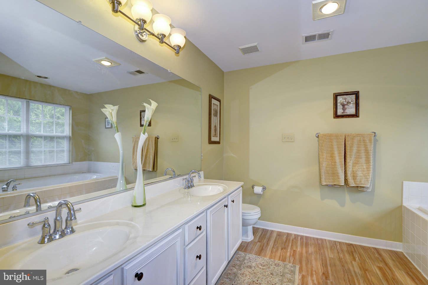 6209 Patuxent Quarter Road Elkridge, MD 21076 - Photo 14 of 28 Bath (Master)