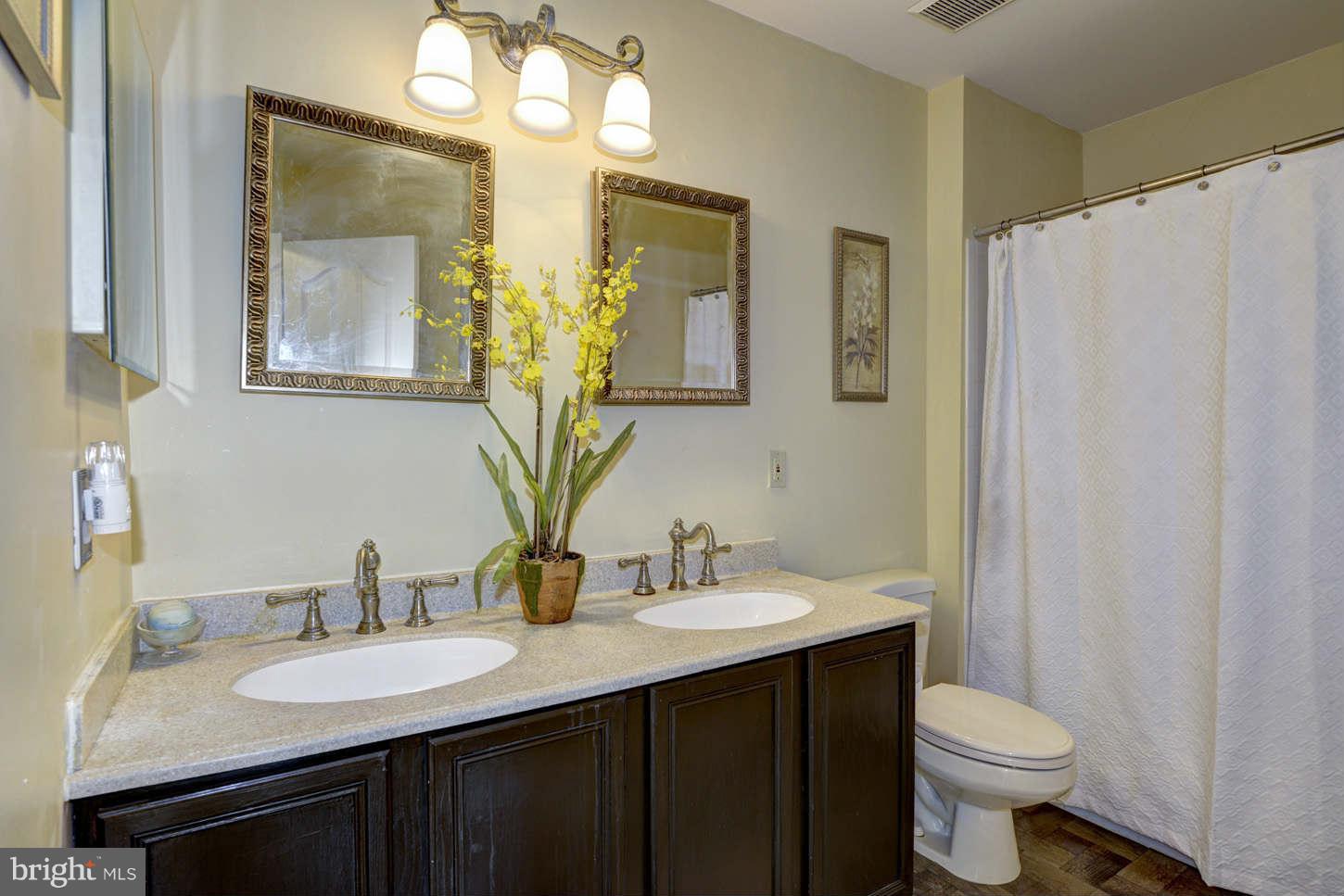 6209 Patuxent Quarter Road Elkridge, MD 21076 - Photo 16 of 28 Hall Bathroom
