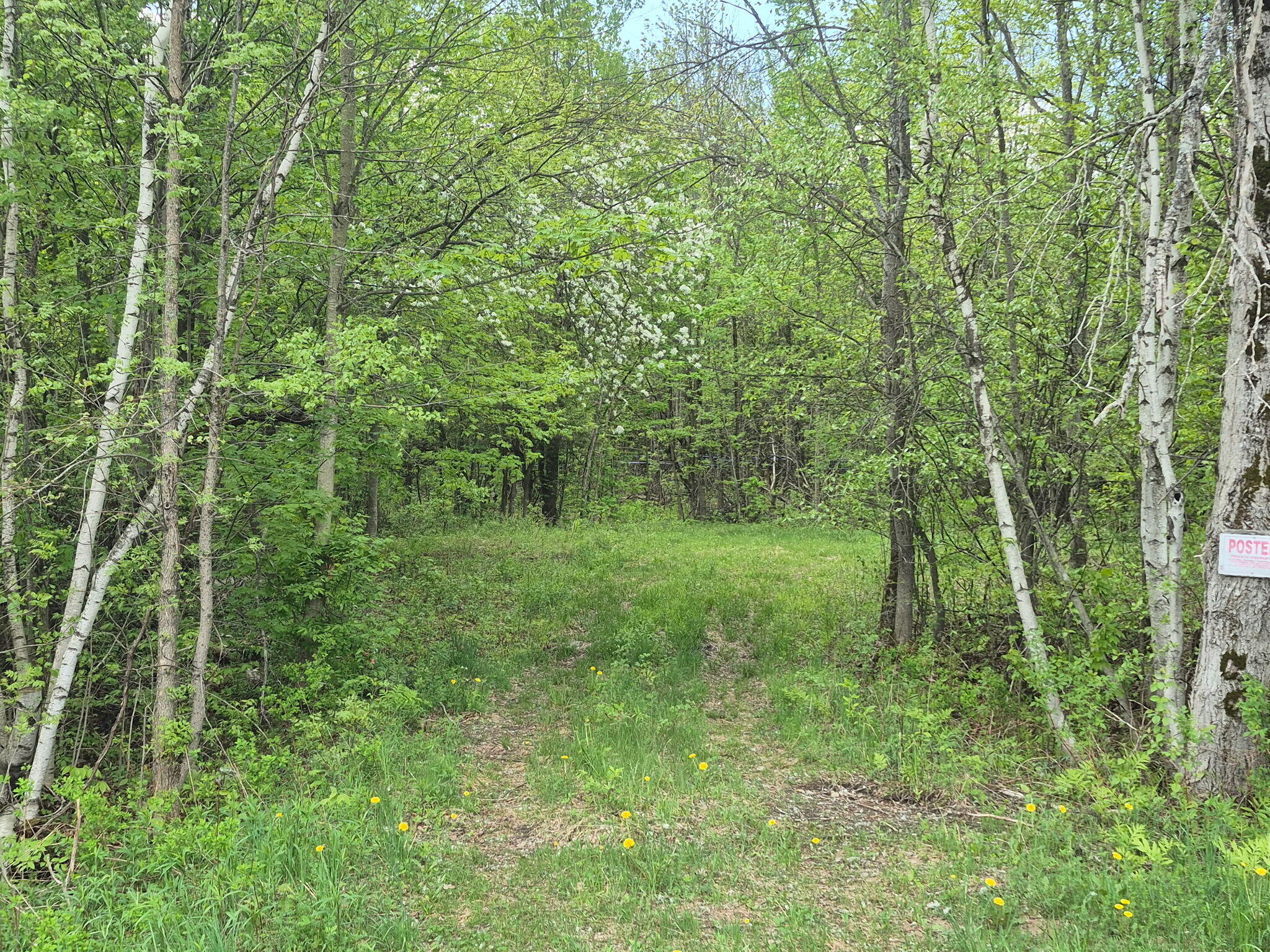 813 Bush Road Mooers Forks, NY 12959 - Photo 16 of 18 1000007460