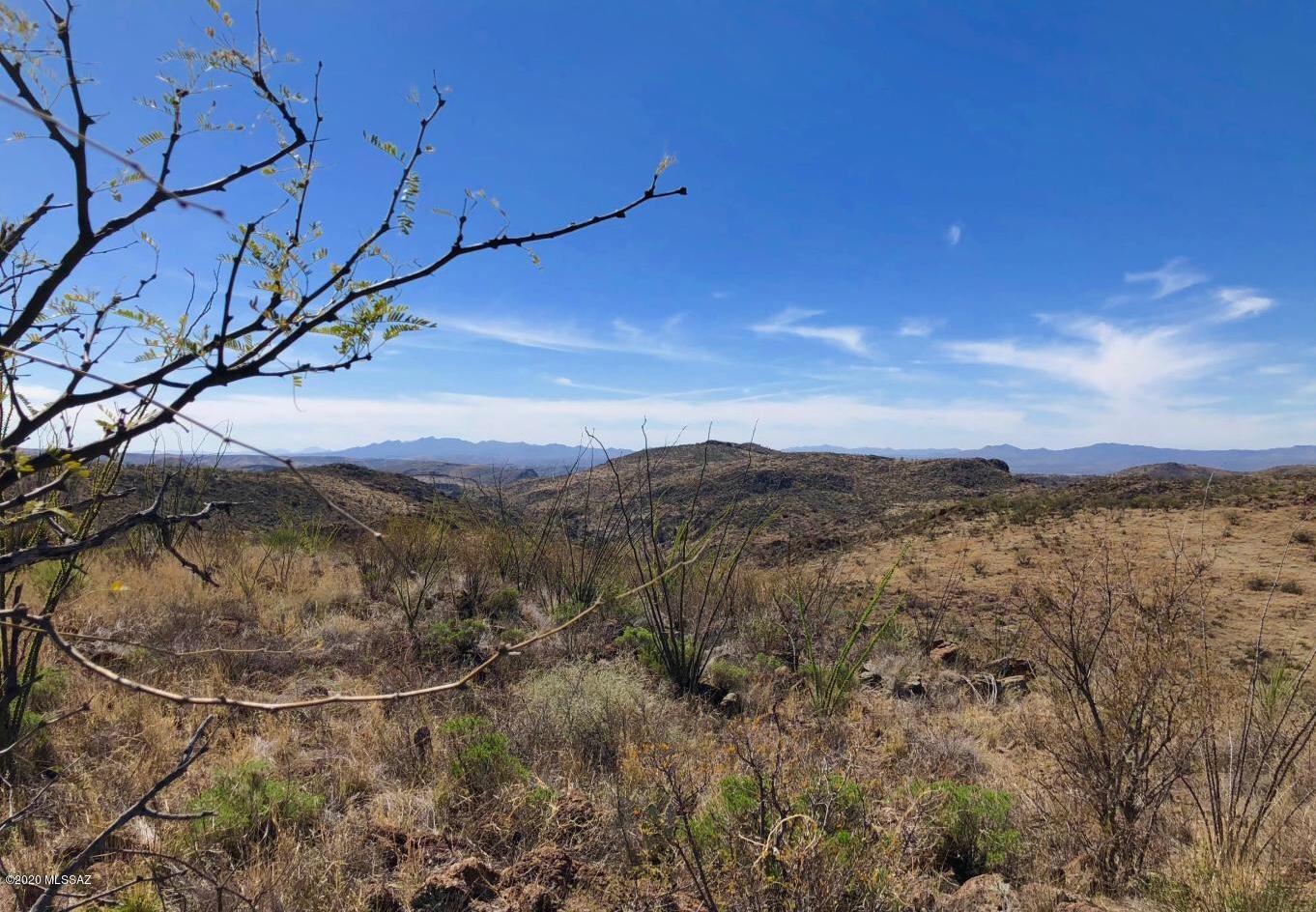 665 Grosvenor Road, Unit 115 Rio Rico, AZ 85648 - Photo 10 of 13